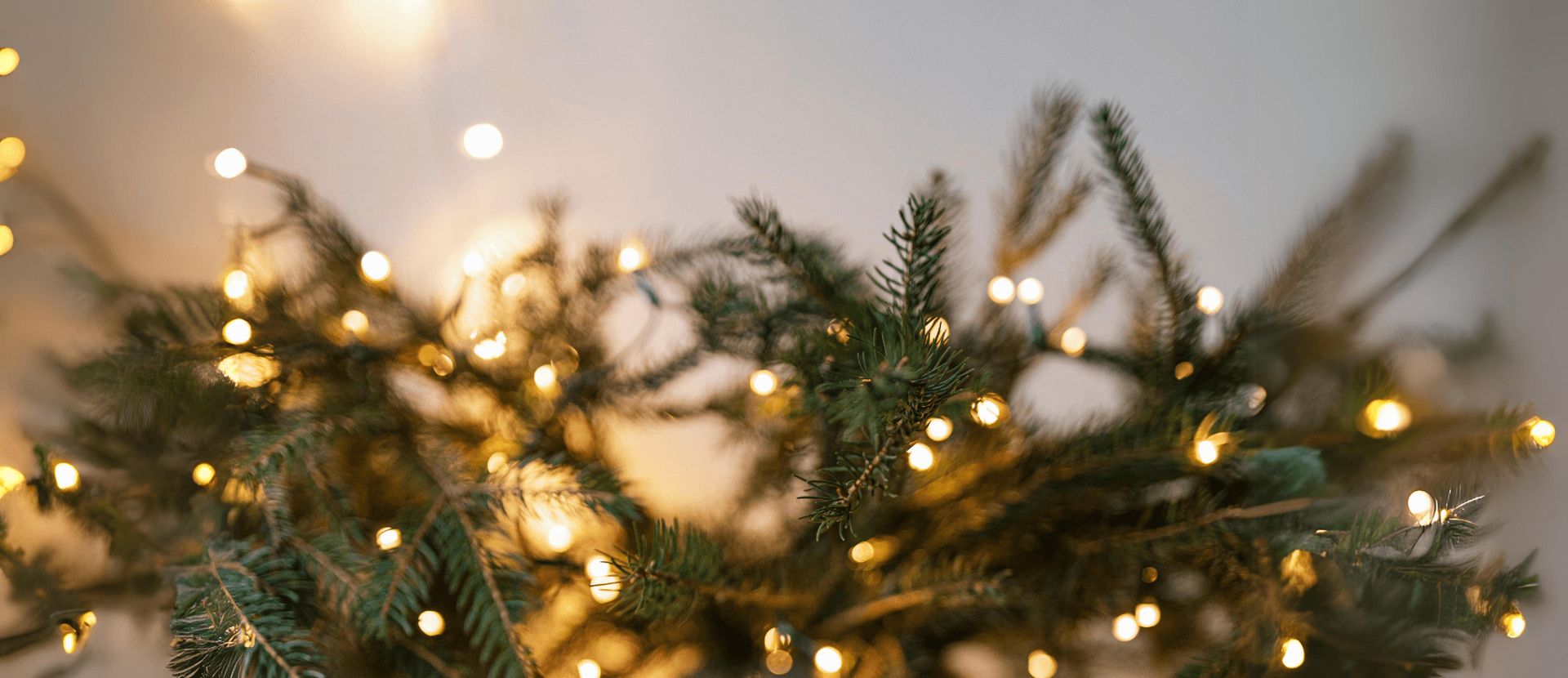 Eine Nahaufnahme eines Weihnachtsbaums mit beleuchteten Lichterketten.