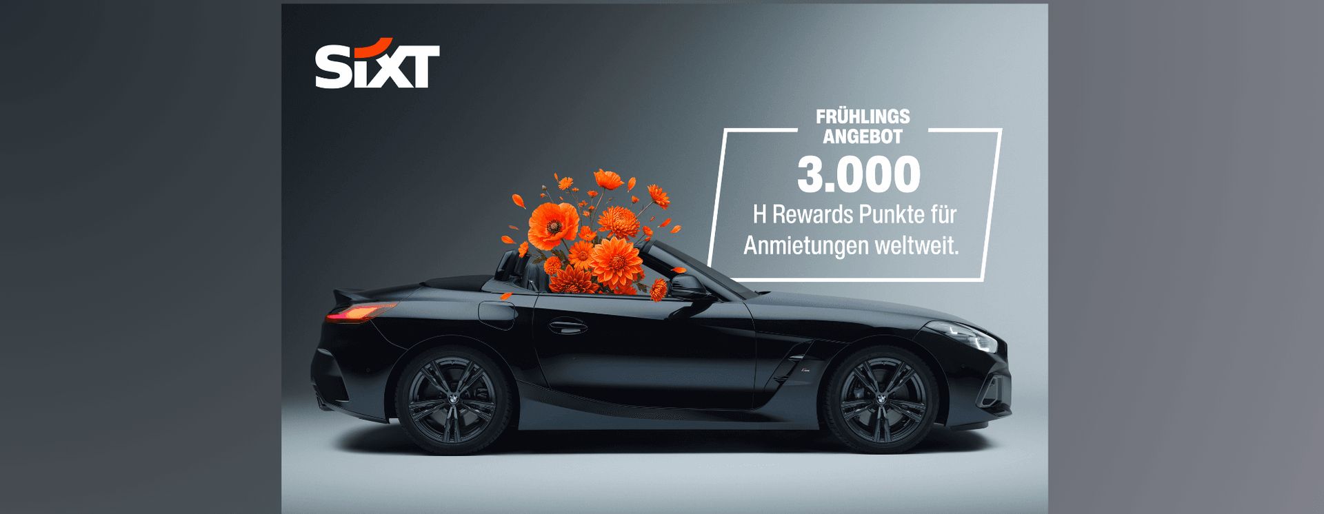 Das Foto zeigt ein schwarzes Cabriolet mit orangefarbenen Blumen, die daraus hervorkommen, sowie…