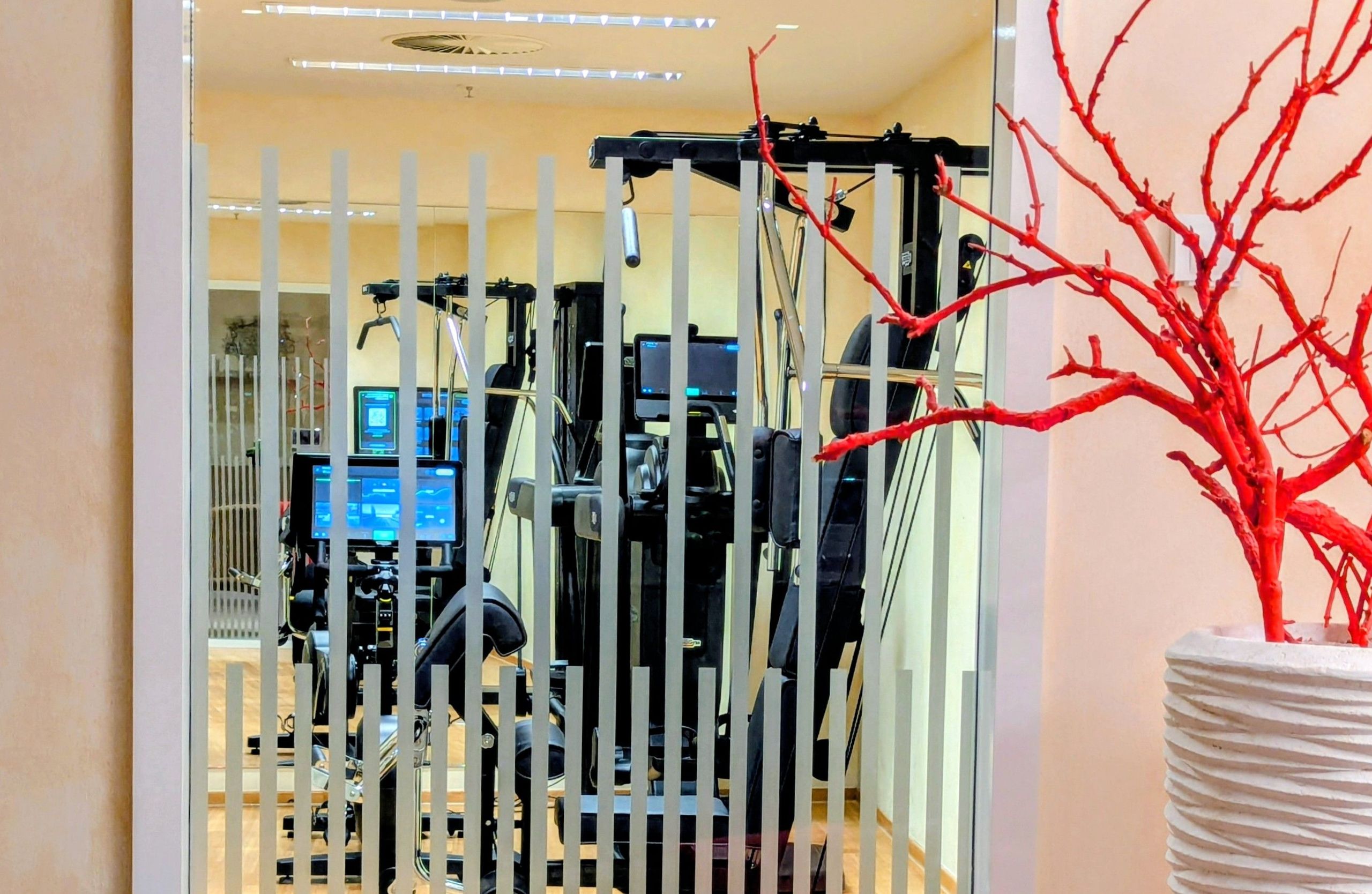 La foto mostra una palestra con attrezzature da esercizio, vista attraverso un pannello di vetro…