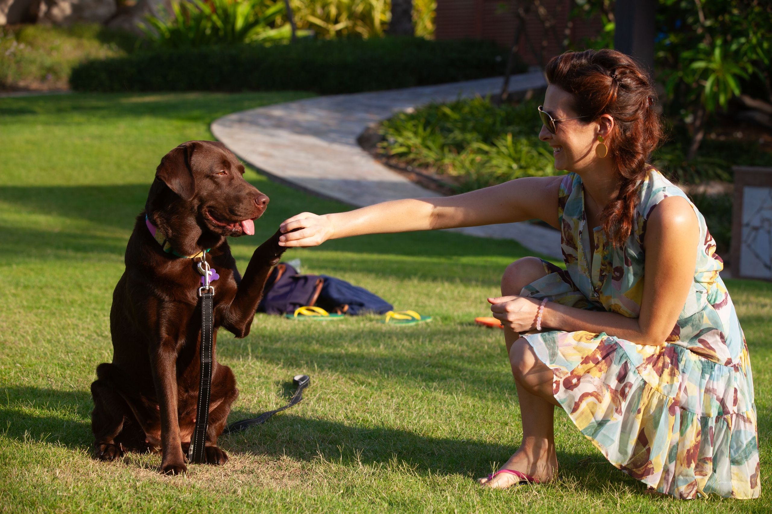Een vrouw en een hond zijn buiten op het gras aan het interactieren, waarbij de vrouw de poot van…