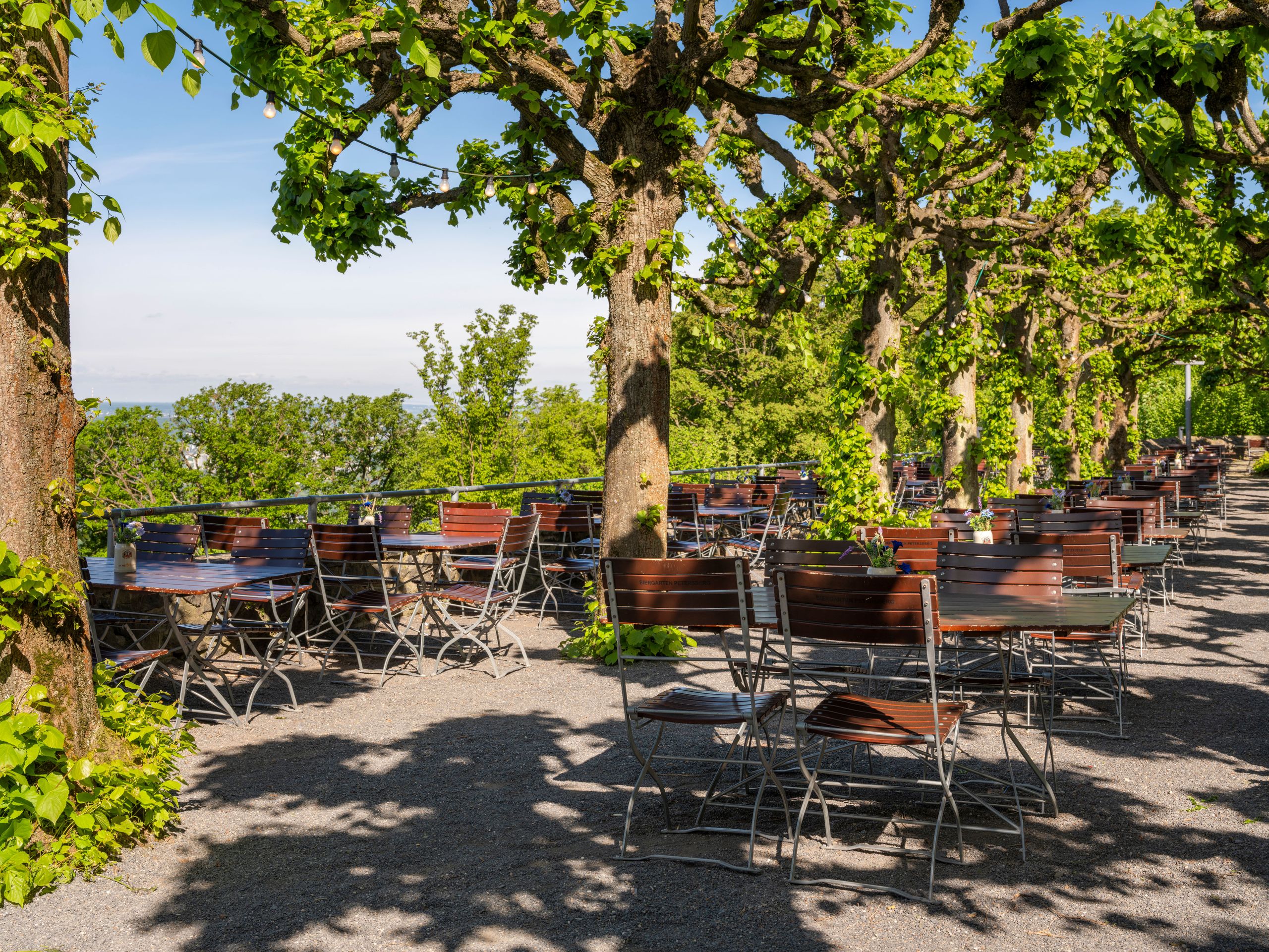 Une terrasse extérieure avec des tables et des chaises disposées sous une rangée d'arbres à…
